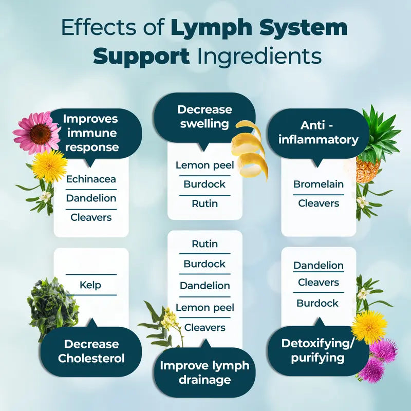 Promote Lymphatic Drainage & Support with Lymph System Support