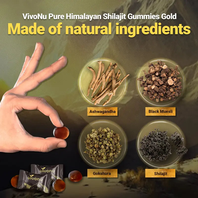 VivoNU Himalayan Shilajit Gummies